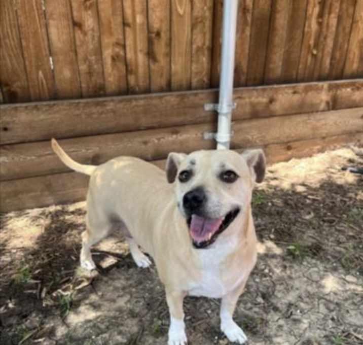 Photo of DAISY