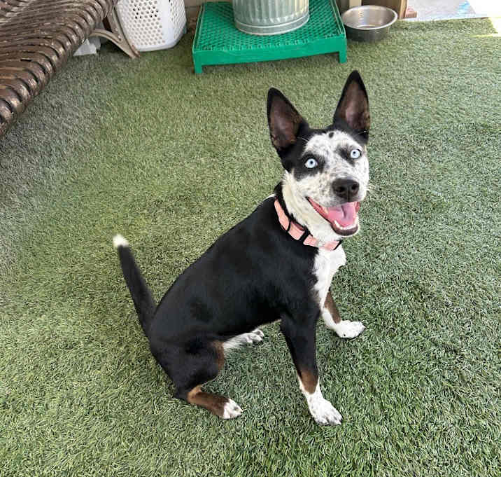 Photo of Carla