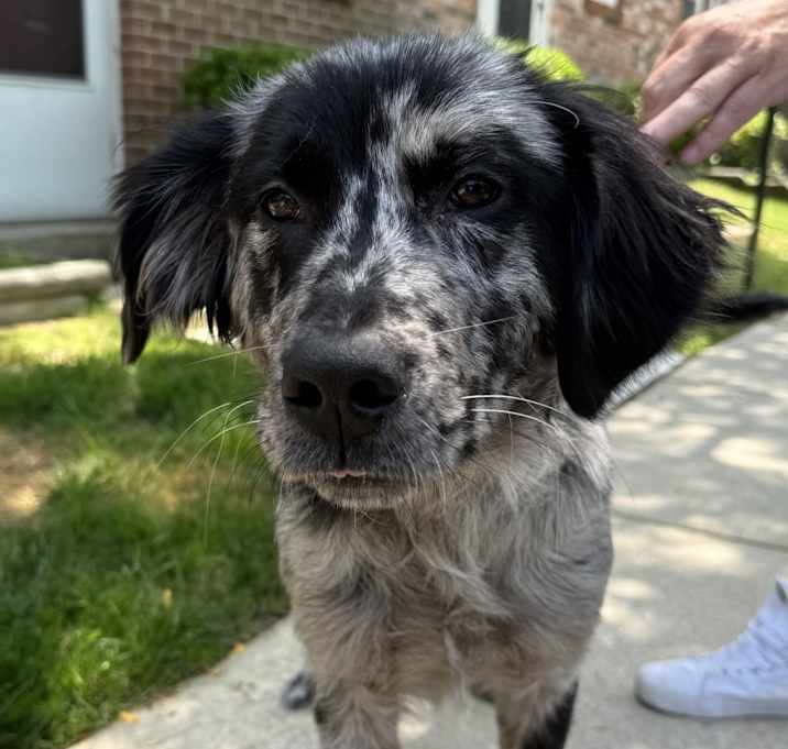 Photo of Indie