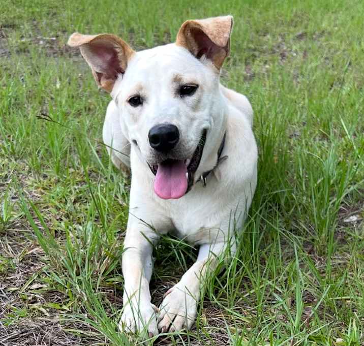 Photo of Rookie 
