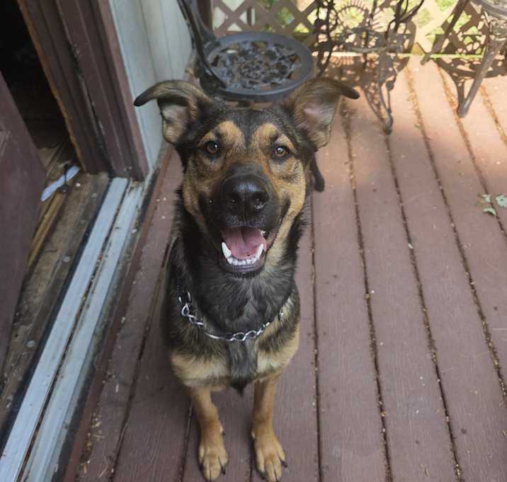 Photo of Gypsy