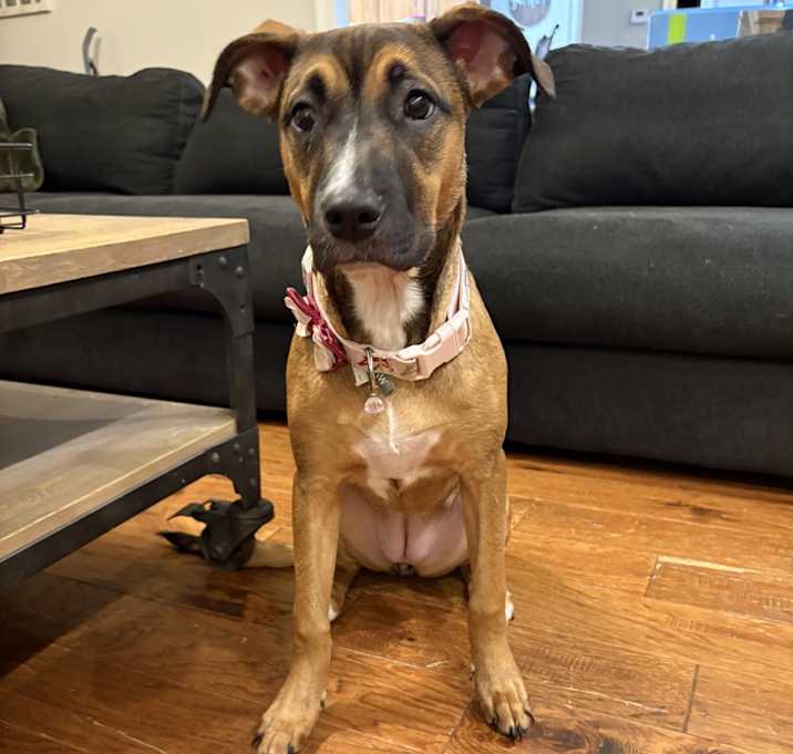 Photo of Sandy