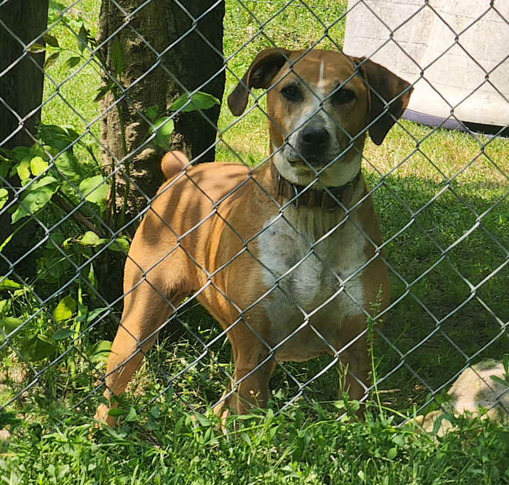 Photo of Nala