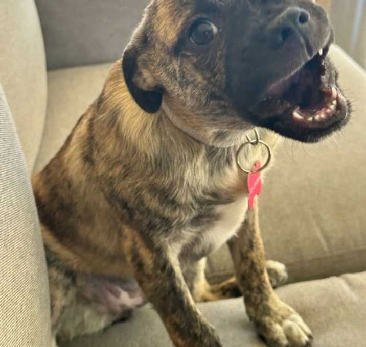 Photo of Cora
