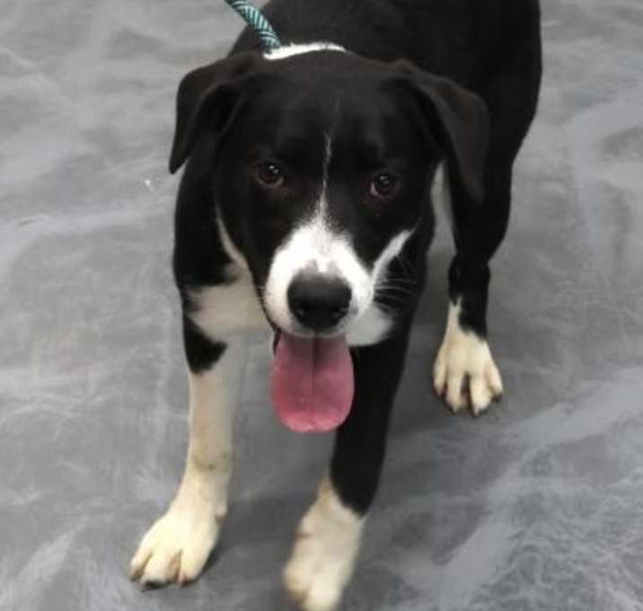 Photo of Tucker