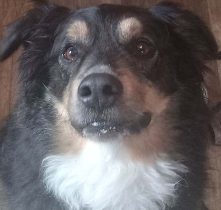 Photo of Indy