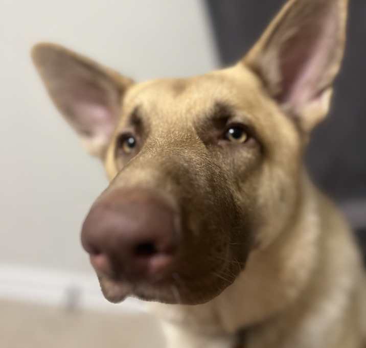 Photo of Bubbles