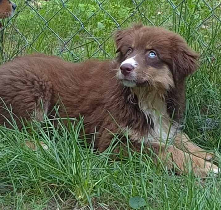 Photo of SCRUFF