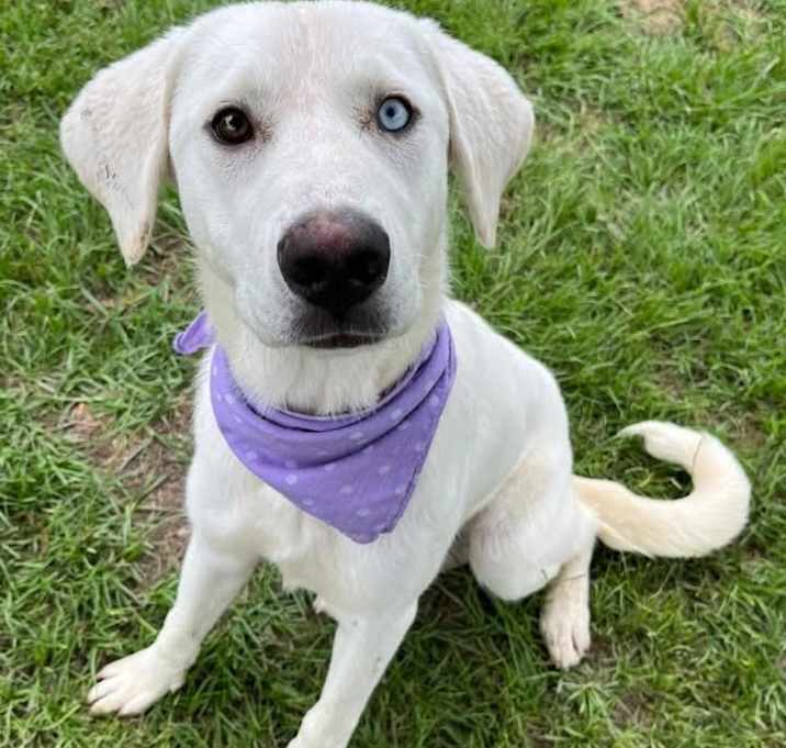 Photo of Gwen