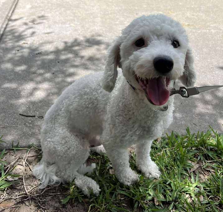 Photo of Astro