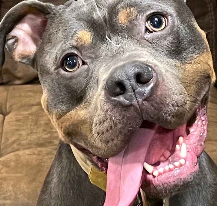 Photo of Tank
