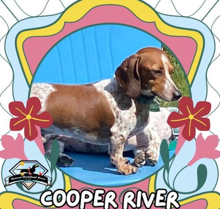 Photo of Cooper River