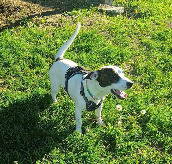 Photo of Cache