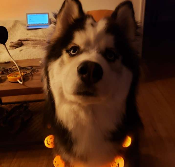 Photo of Iroh