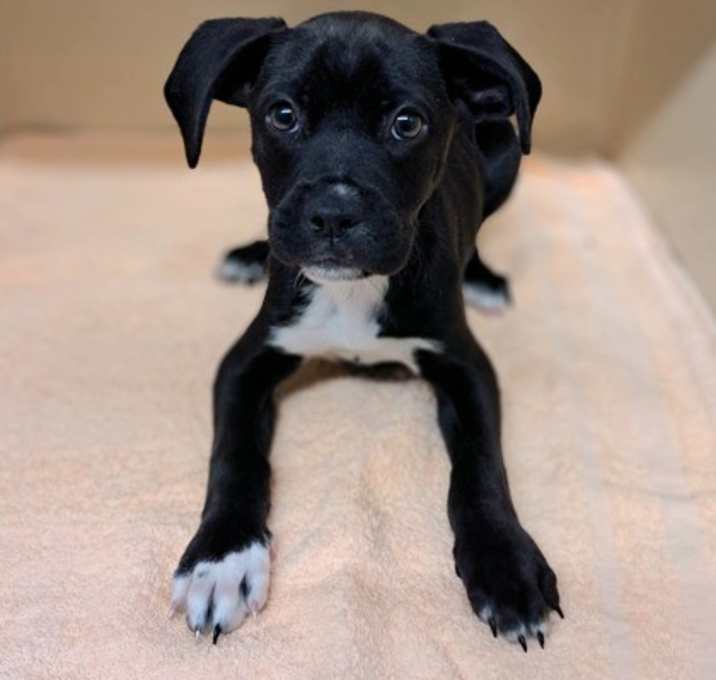 Photo of Cash