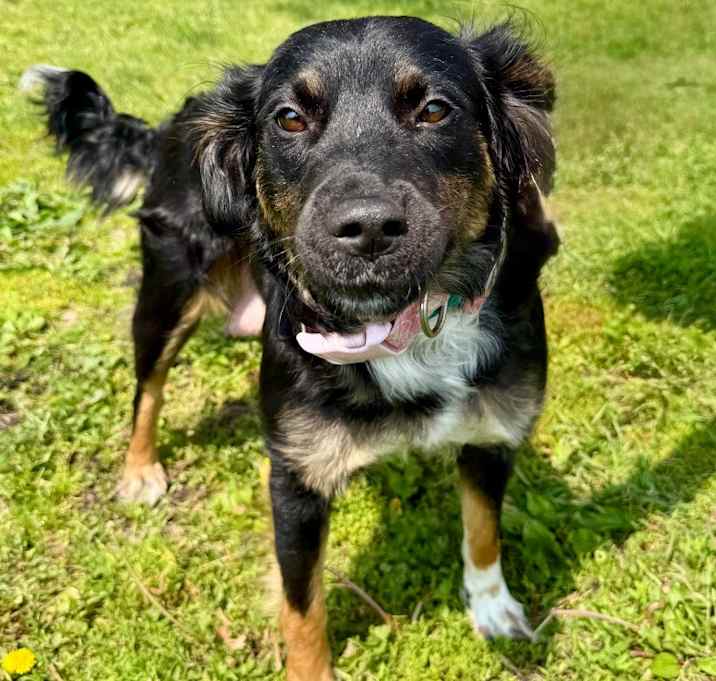 Photo of Bonnie