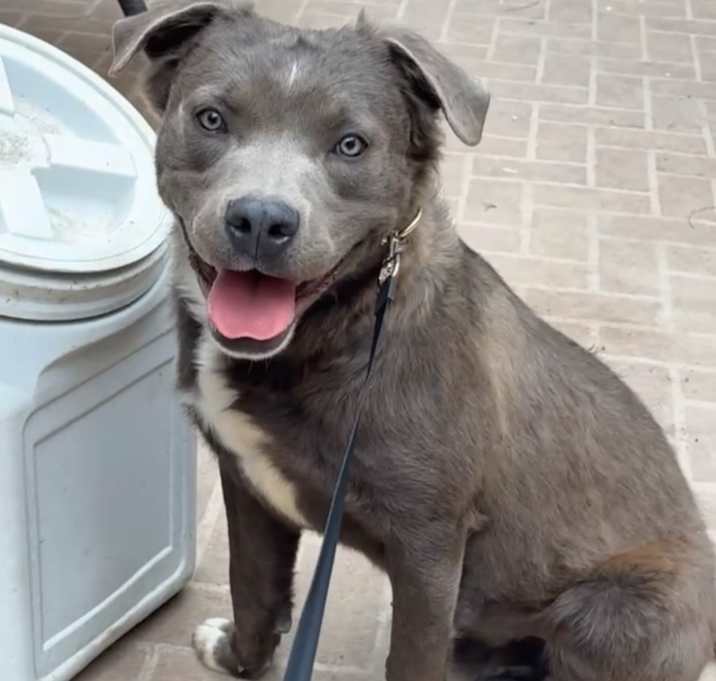Photo of Zeus
