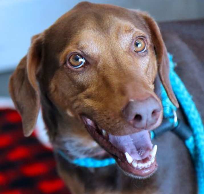Photo of Maggie Mae
