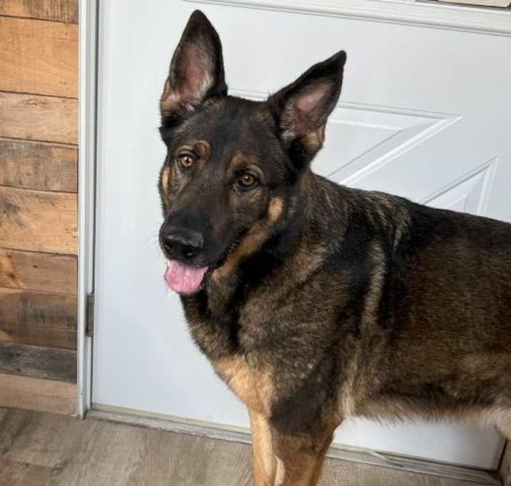 Photo of Whiskey