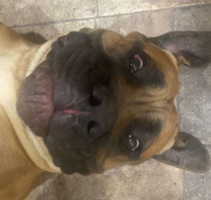 Photo of Tank