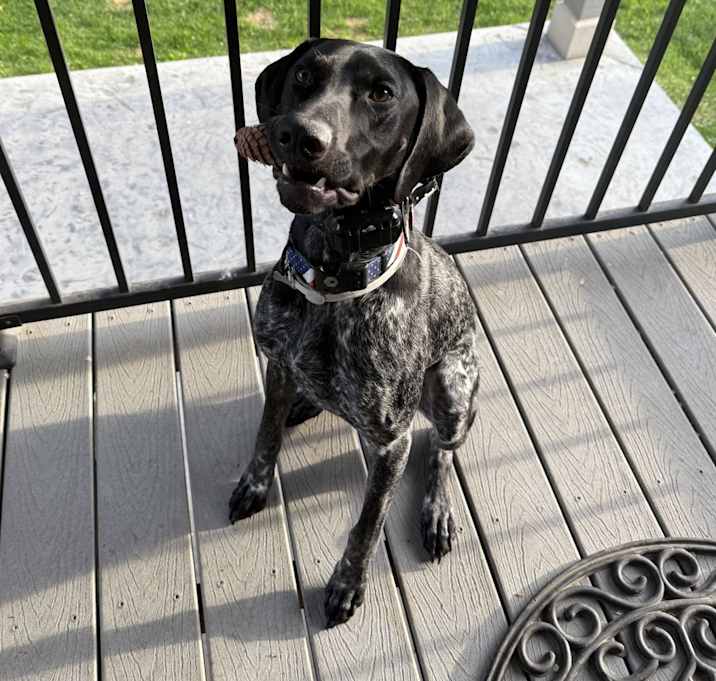 Photo of CASH
