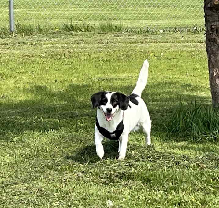 Photo of Abby
