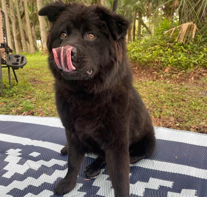 Photo of TEDDY