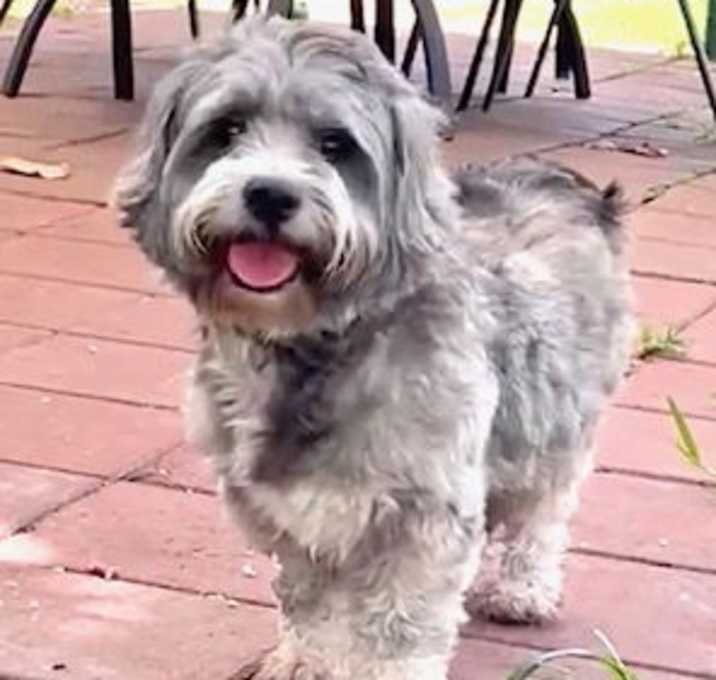 Photo of Rudy