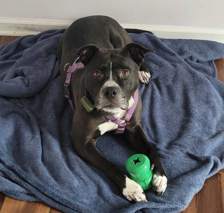 Photo of Sugar
