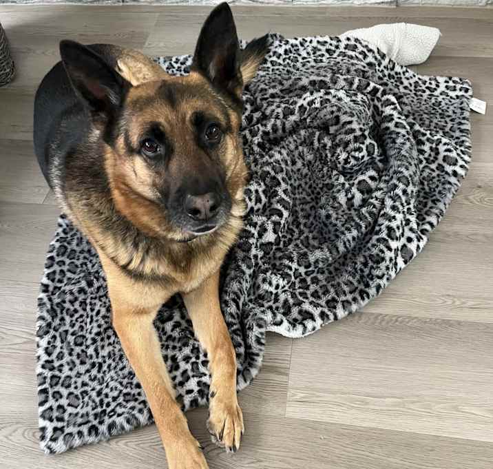 Photo of Thor