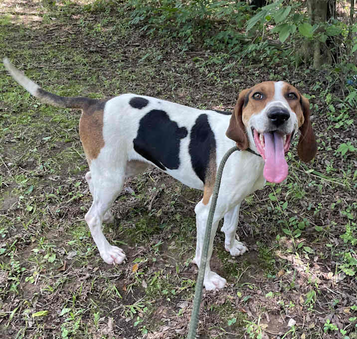 Photo of Sammie