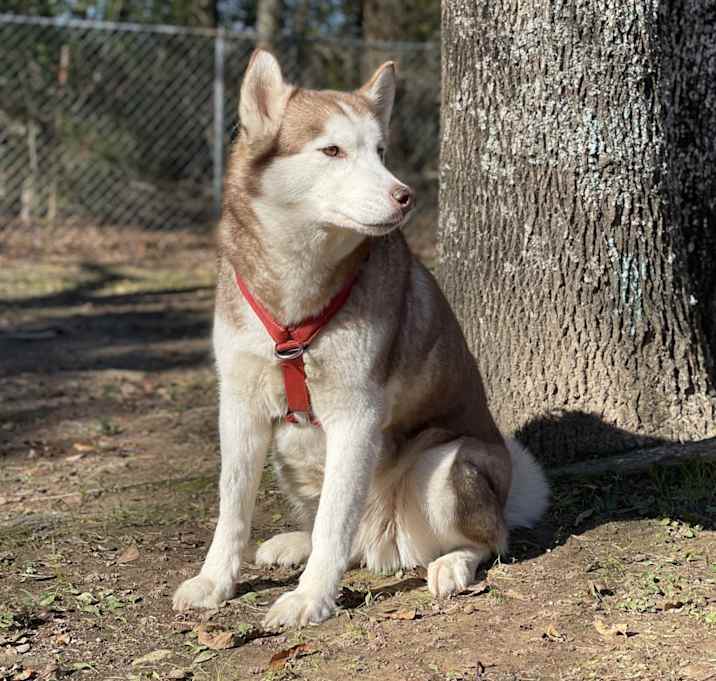 Photo of Buffy