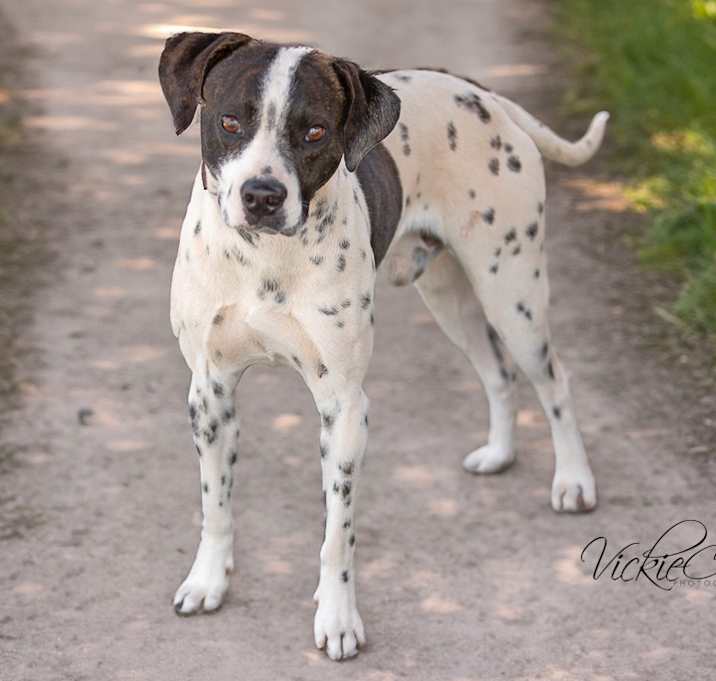 Photo of Toozy