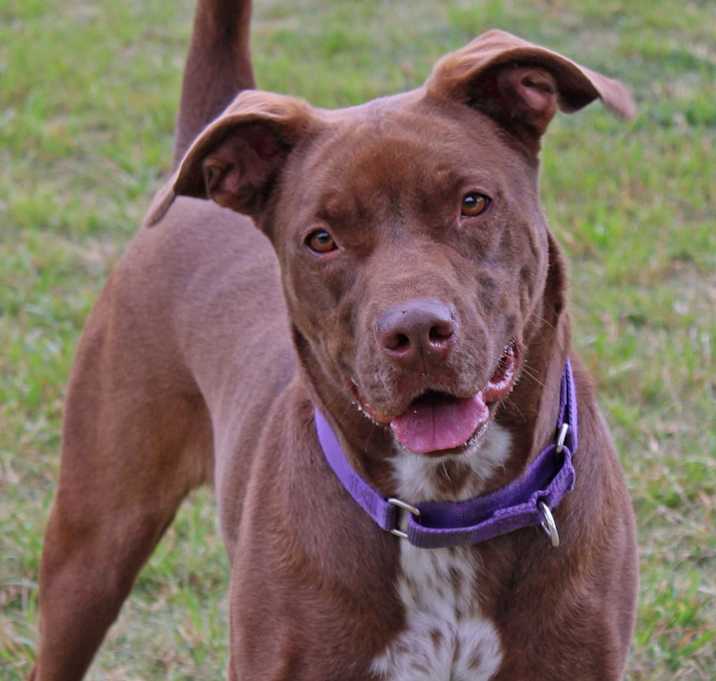 Photo of Godiva
