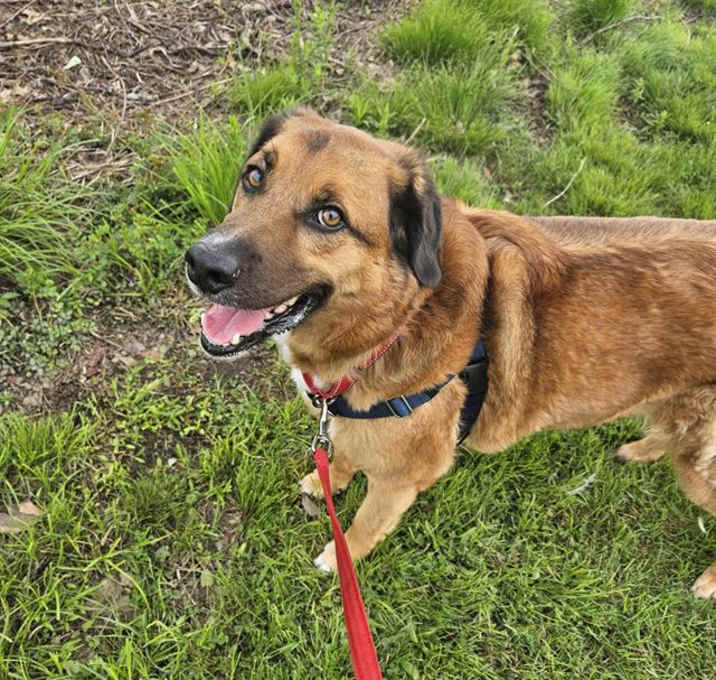 Photo of JAKE