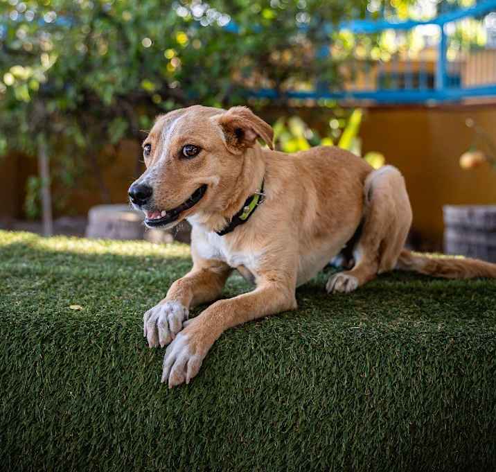 Photo of Maya