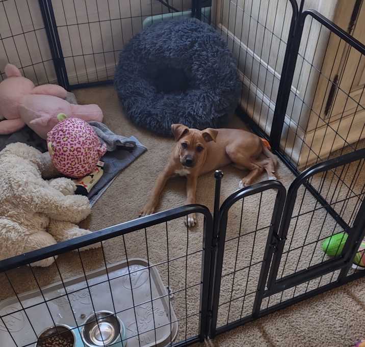 Photo of Stormy