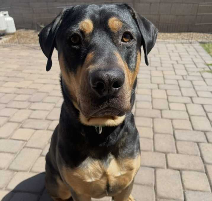 Photo of BREWER #2