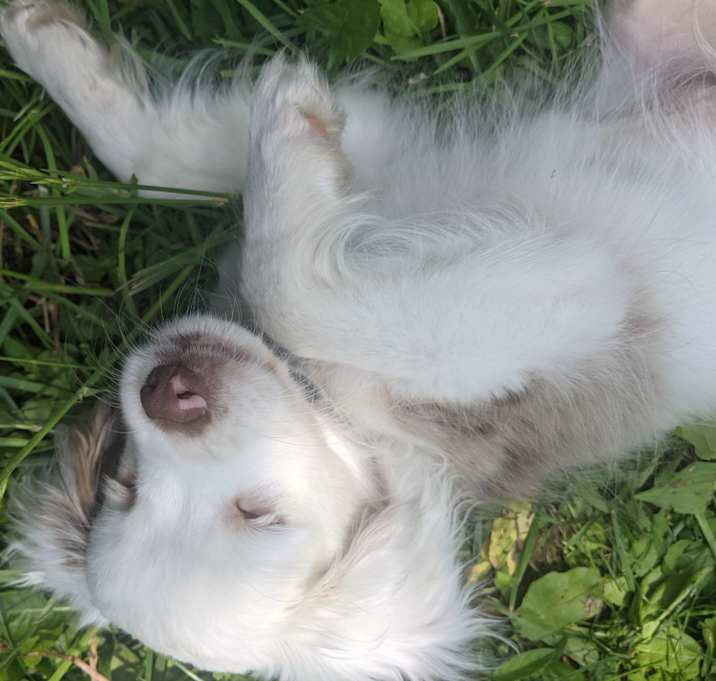 Photo of Horchata