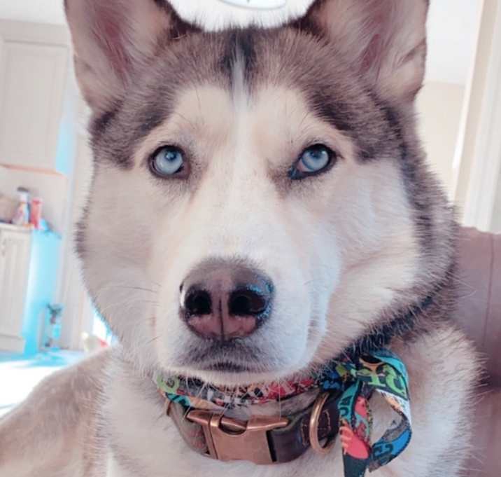 Photo of Max