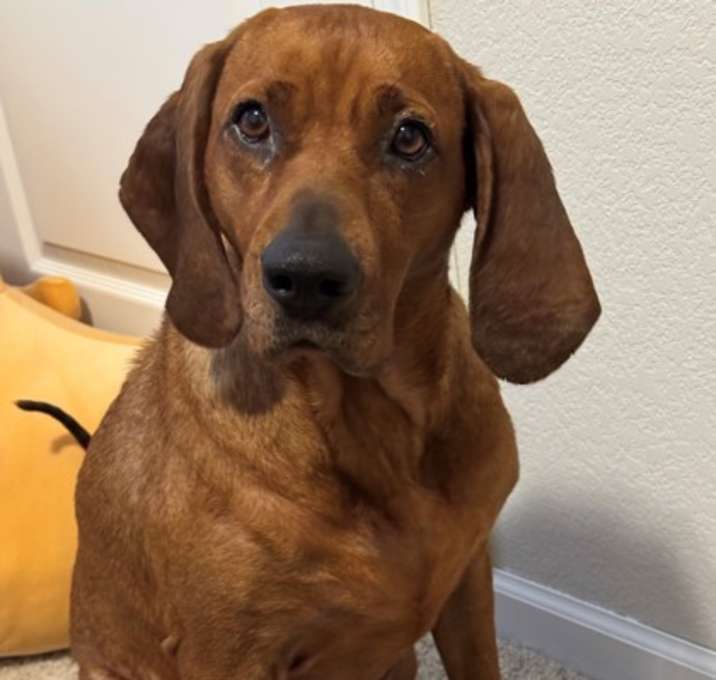 Photo of Delilah