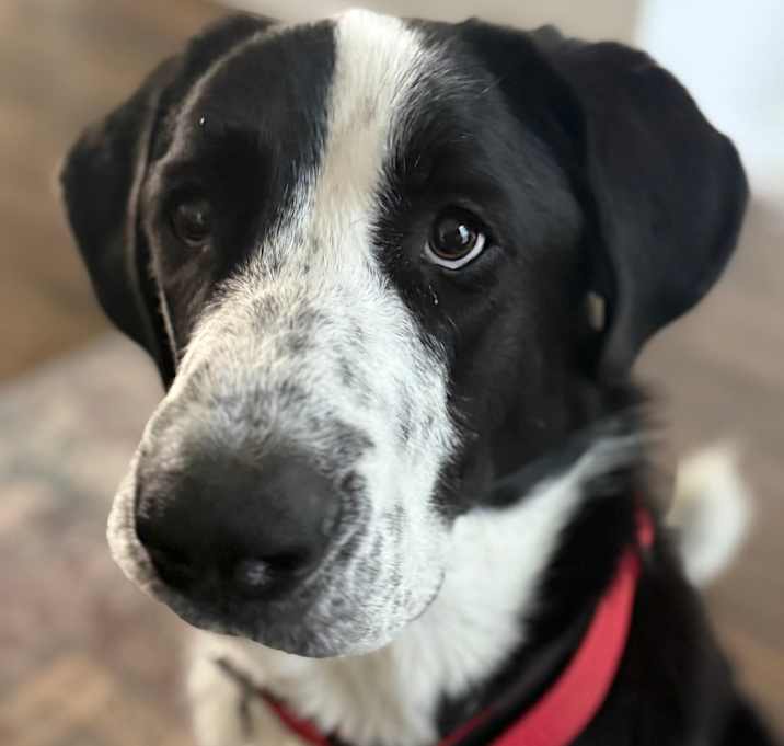 Photo of Kip