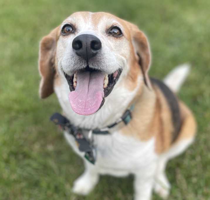 Photo of Sam