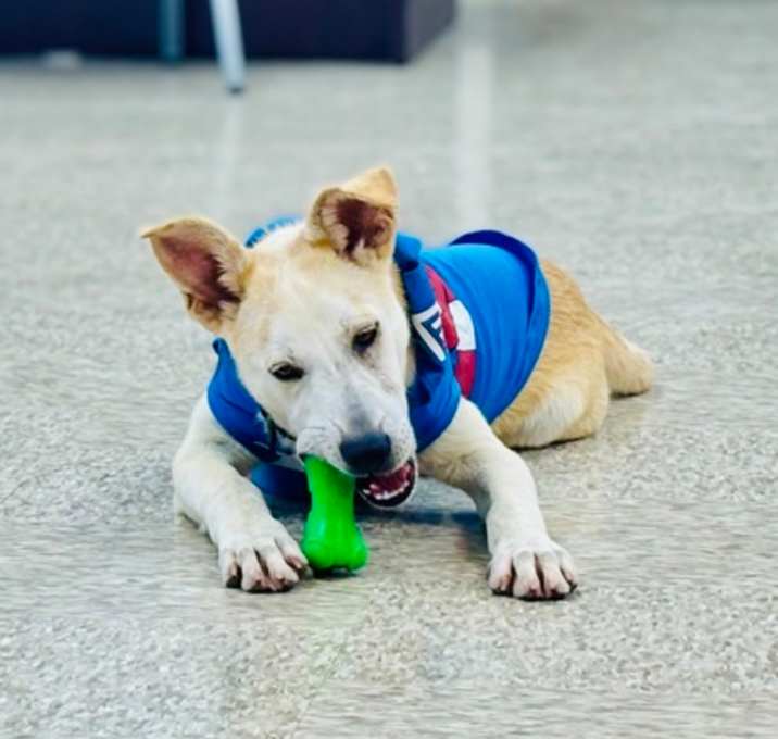 Photo of Slugger