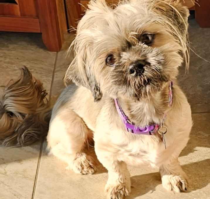 Photo of Lovey