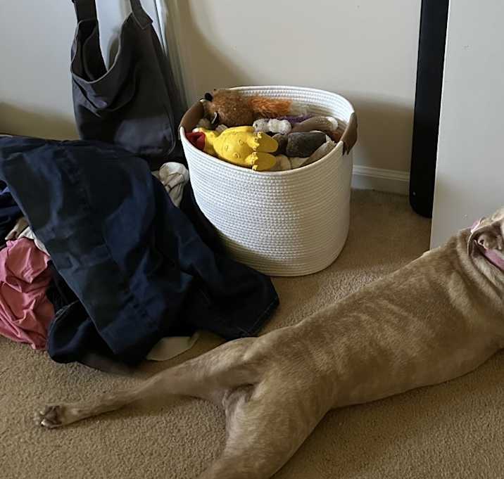 Photo of Lucy