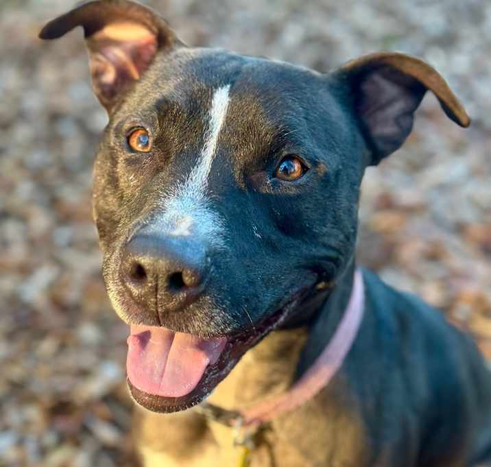Photo of Patty Cake