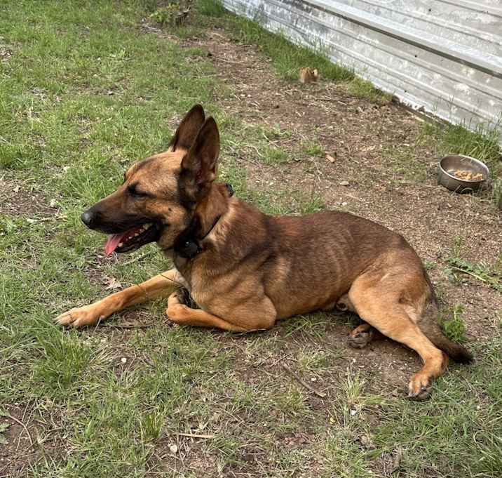 Photo of Axle