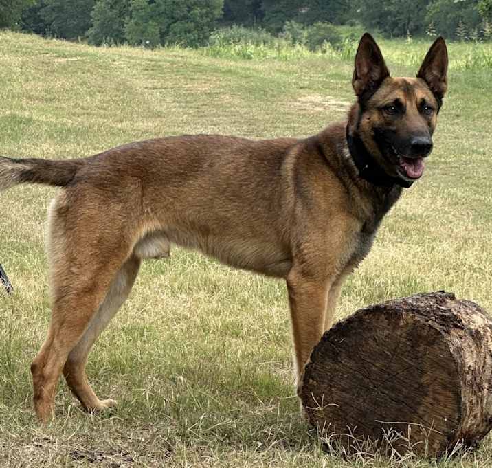 Photo of Axle