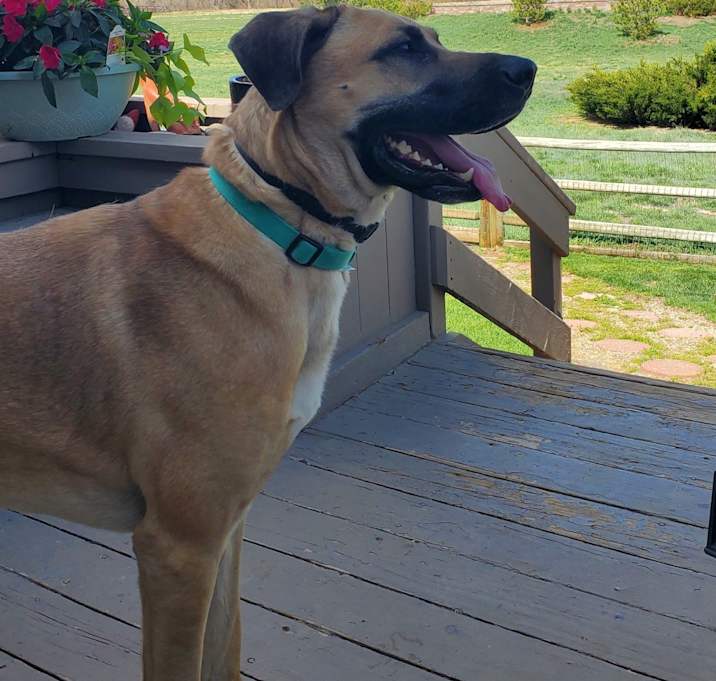 Photo of Rylee
